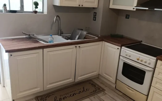 Ενοικίαση κατοικίας 55 τ.μ., Βύρωνας